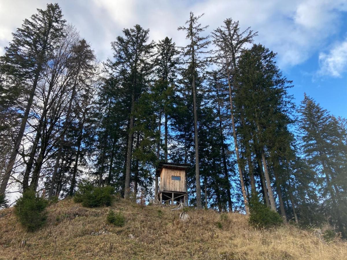Chalet 维尔达尔彭 外观 照片
