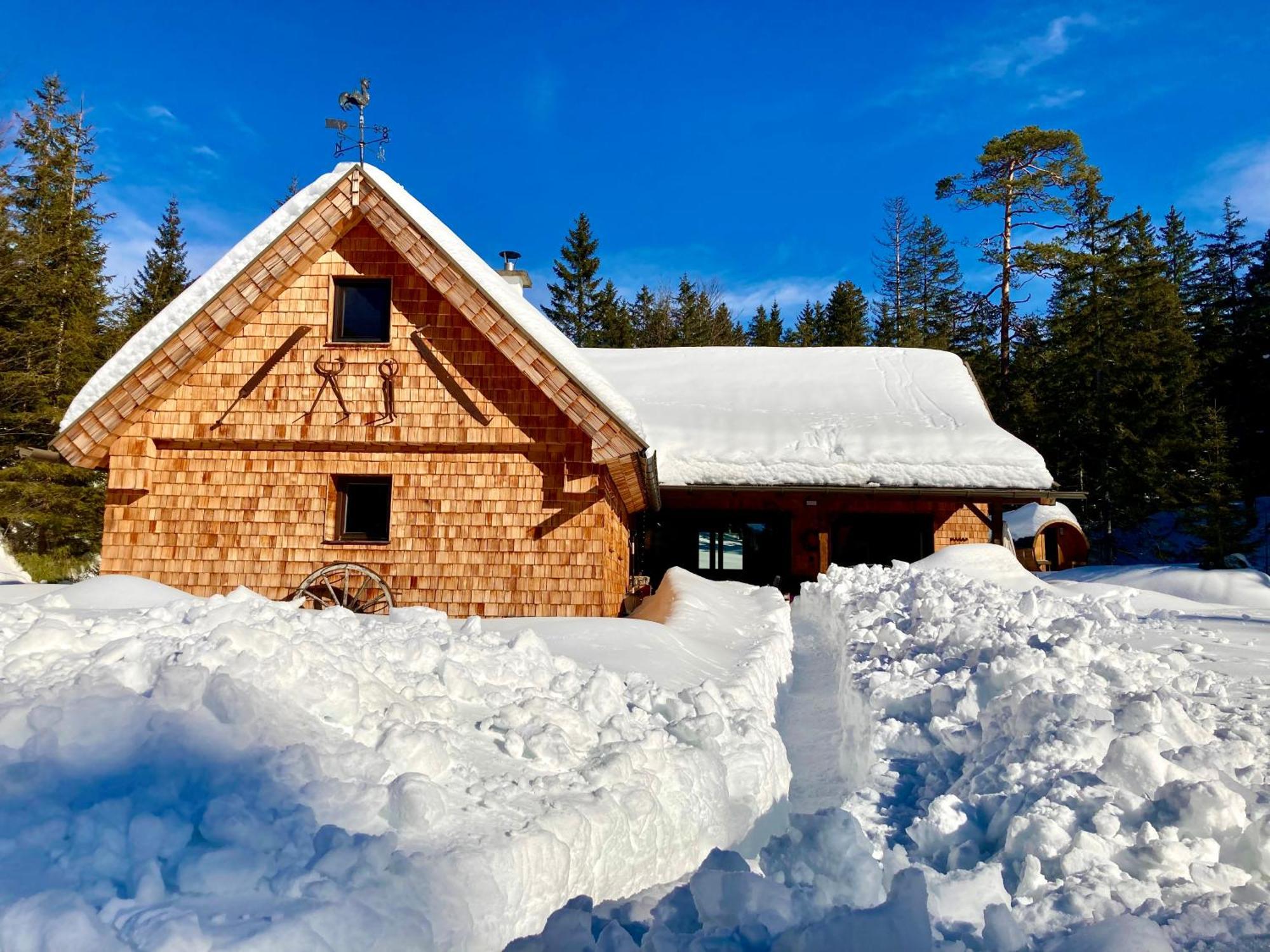 Chalet 维尔达尔彭 外观 照片