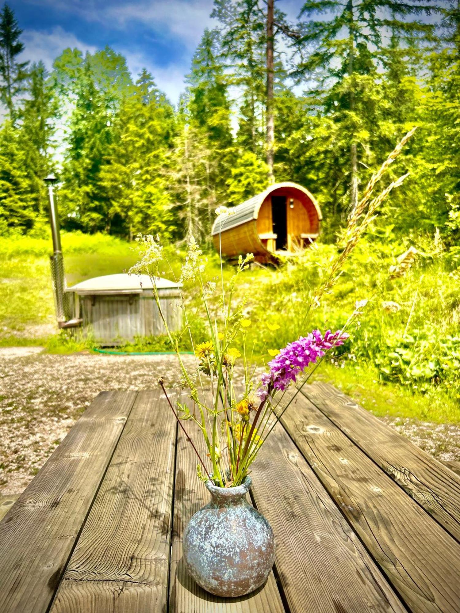 Chalet 维尔达尔彭 外观 照片