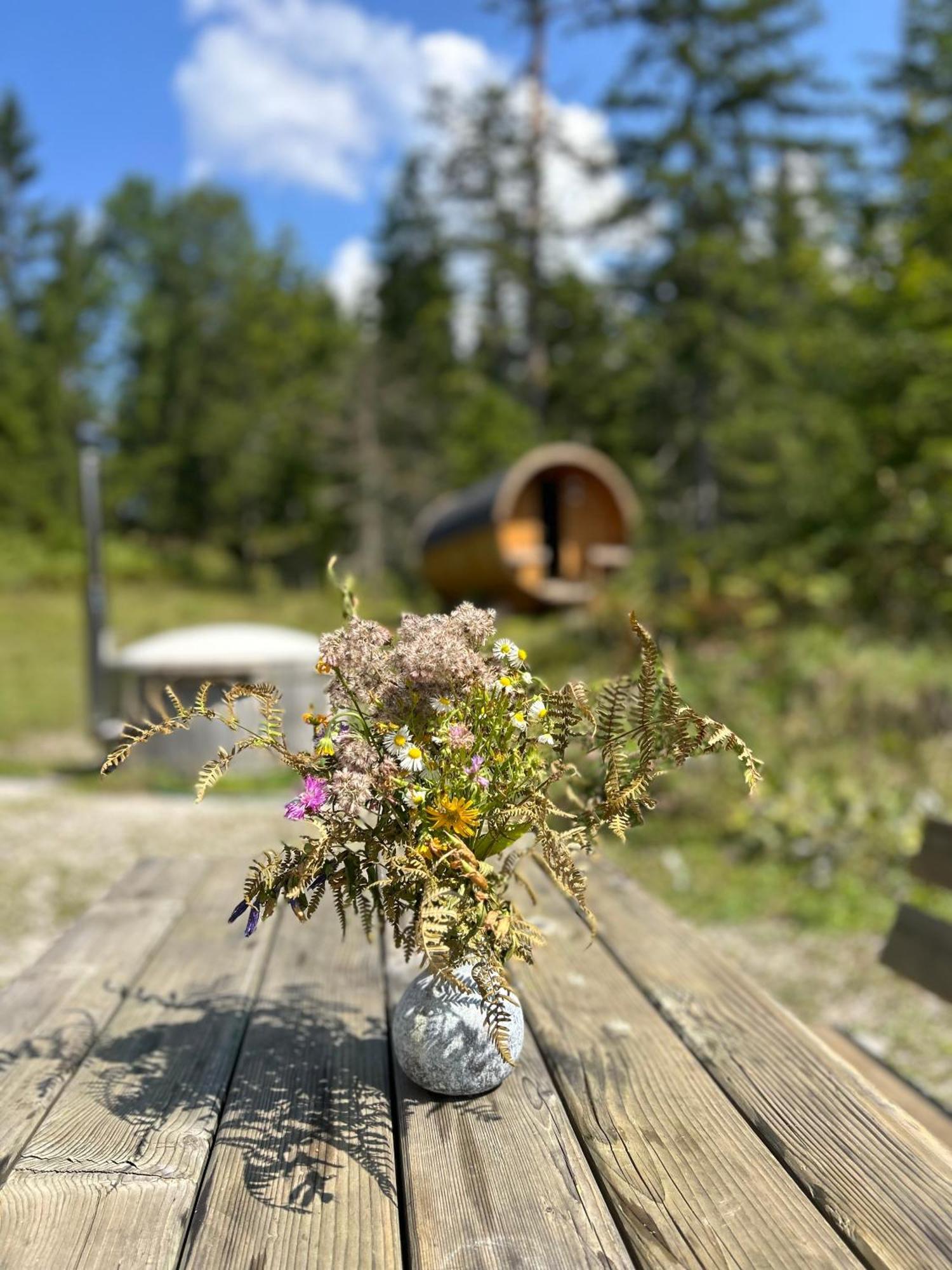 Chalet 维尔达尔彭 外观 照片